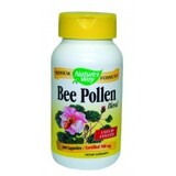 Пчелен прашец